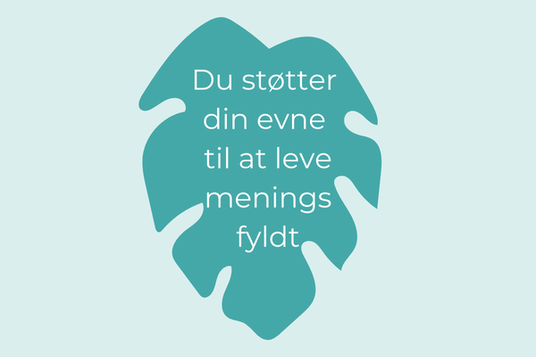 Hvad laver du i terapi behandling